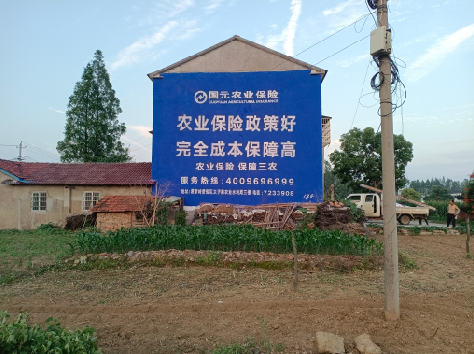 沛县墙体广告为何受追捧？